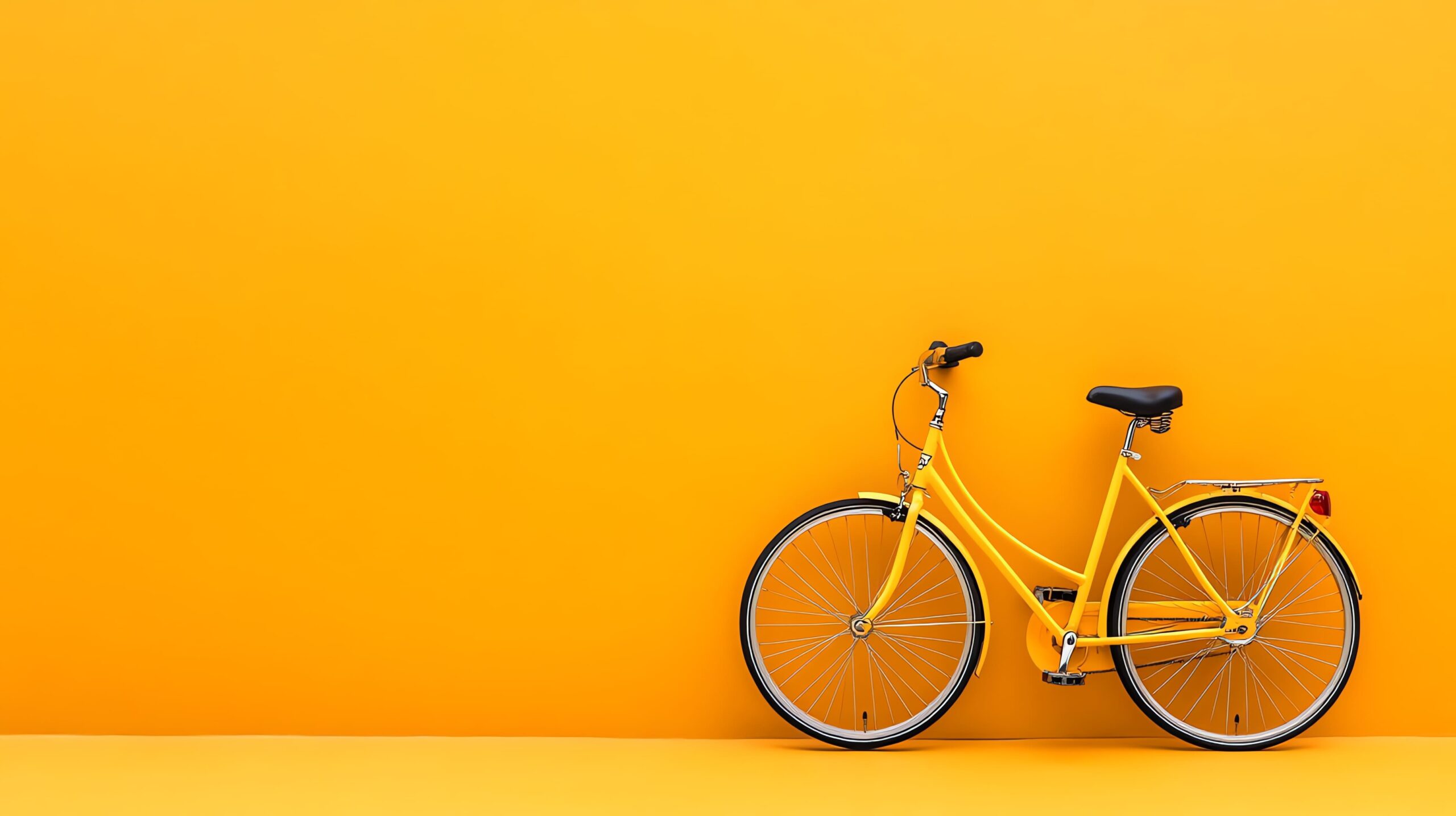 eurocycles-bicycles (3)